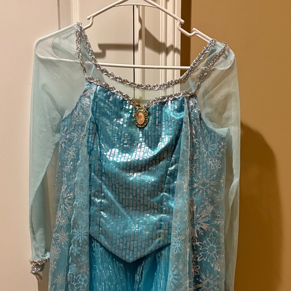Disney Frozen-Inspired Costume - Blue and Silver